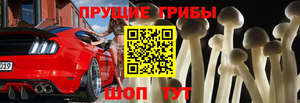 хочу   Вход с VPN  Надым  Галлюциногенные грибы Psilocybe 